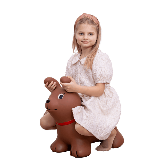 My First JUMPY – Brown Dog